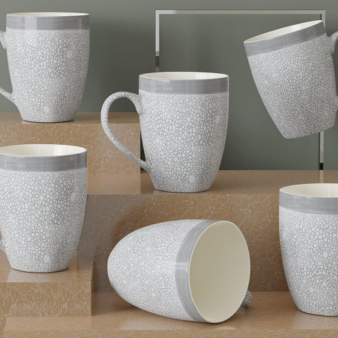 Grey Fizz Coffee Mug (Set of 6)